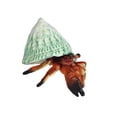 thumbnail image 2 of Simulación de animales marinos, figuras y estatuas, juego de modelo de animal de plástico, colección de suministros para fiestas, aulas, accesorios de enseñanza, juguete para niños marrón, 2 of 8
