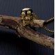 thumbnail image 4 of Collar con Dije Calavera MADIOLA Cadena dorada Punk Gotico, 4 of 7