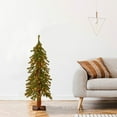 thumbnail image 2 of National Tree Company Pre-lit Artificial Christmas Tree | Includes Pre-strung White Lights | Hickory Cedar - 3 ft, 2 of 2