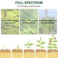 thumbnail image 3 of LED Grow Lights for Indoor Plants   Smart Full Spectrum USB Small Plant Lights with Auto On/Off Timer for Home Decoration  Height Adjustable  Warm White, 3 of 9