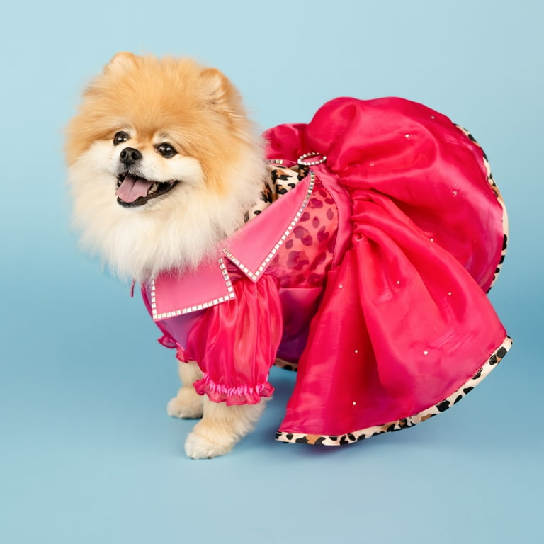 Doggy Parton, Dog and Cat Clothes, Leopard Notched Collar