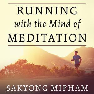 Running with the Mind of Meditation - Audiobook