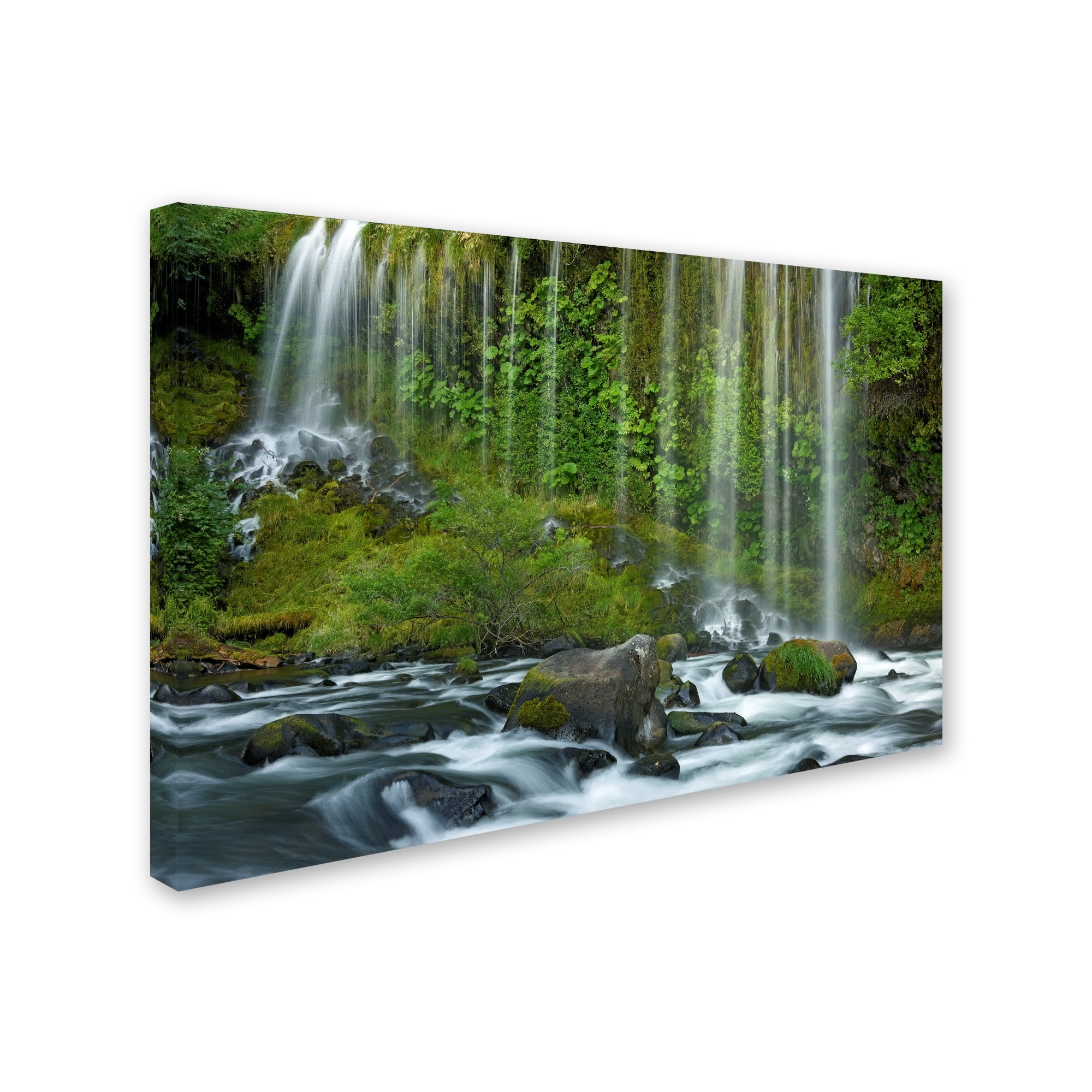 Trademark Fine Art 'Mossbrae Falls' Canvas Art by Mike Jones Photo