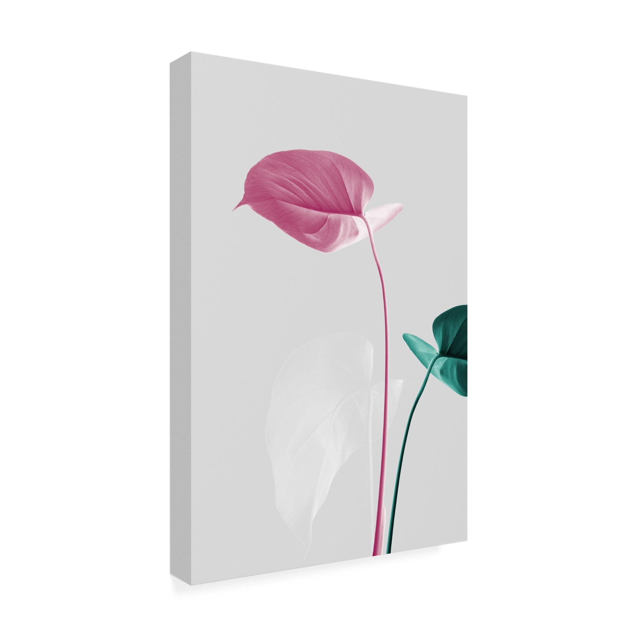 Trademark Fine Art Pictufy Studio Monstera Creative 18 Canvas Wall Art