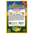 thumbnail image 5 of Everwilde Farms - 50 Stonehead Hybrid Cabbage Seeds - Gold Vault Seed Packet, 5 of 5