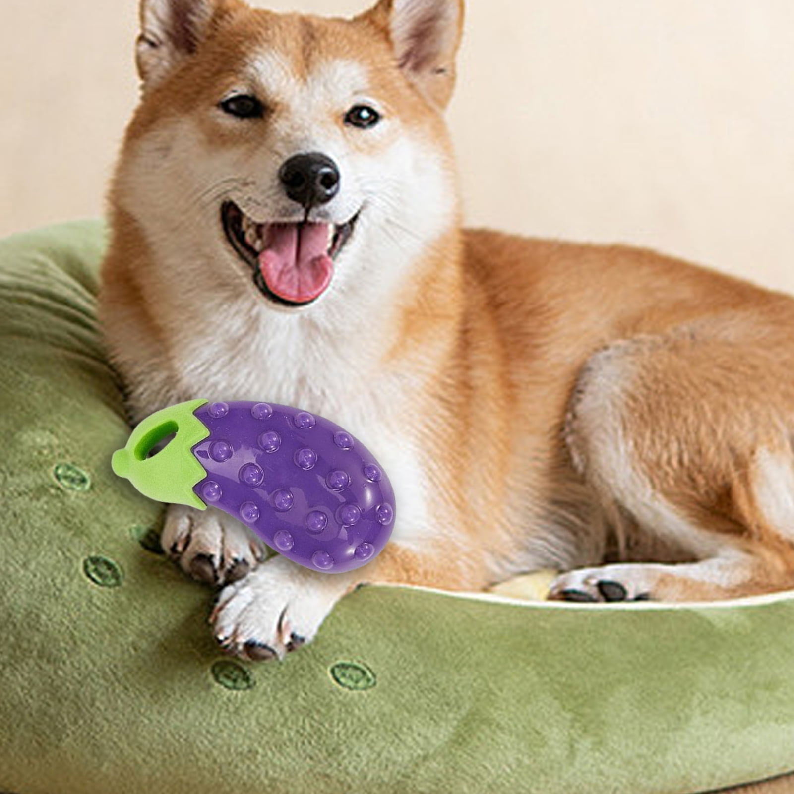 Waroomhouse Dog Chew Toy for Teeth Molar Bumps Dog Toy Dog