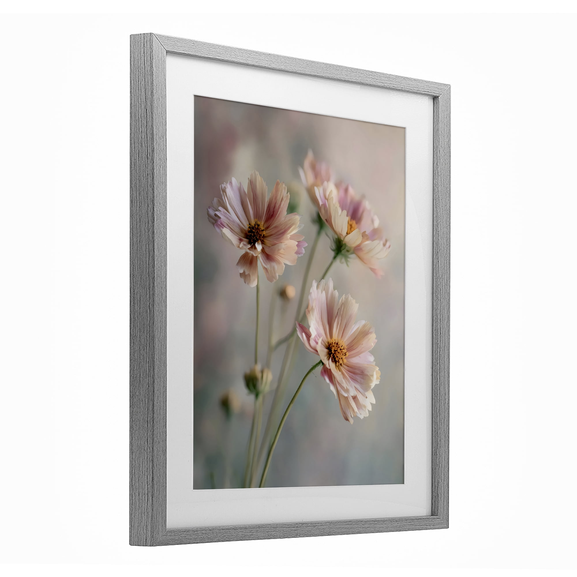 Stupell Industries Pink Daisies Close Up Gray Framed Print Under Glass, design by Franklyn Gregory
