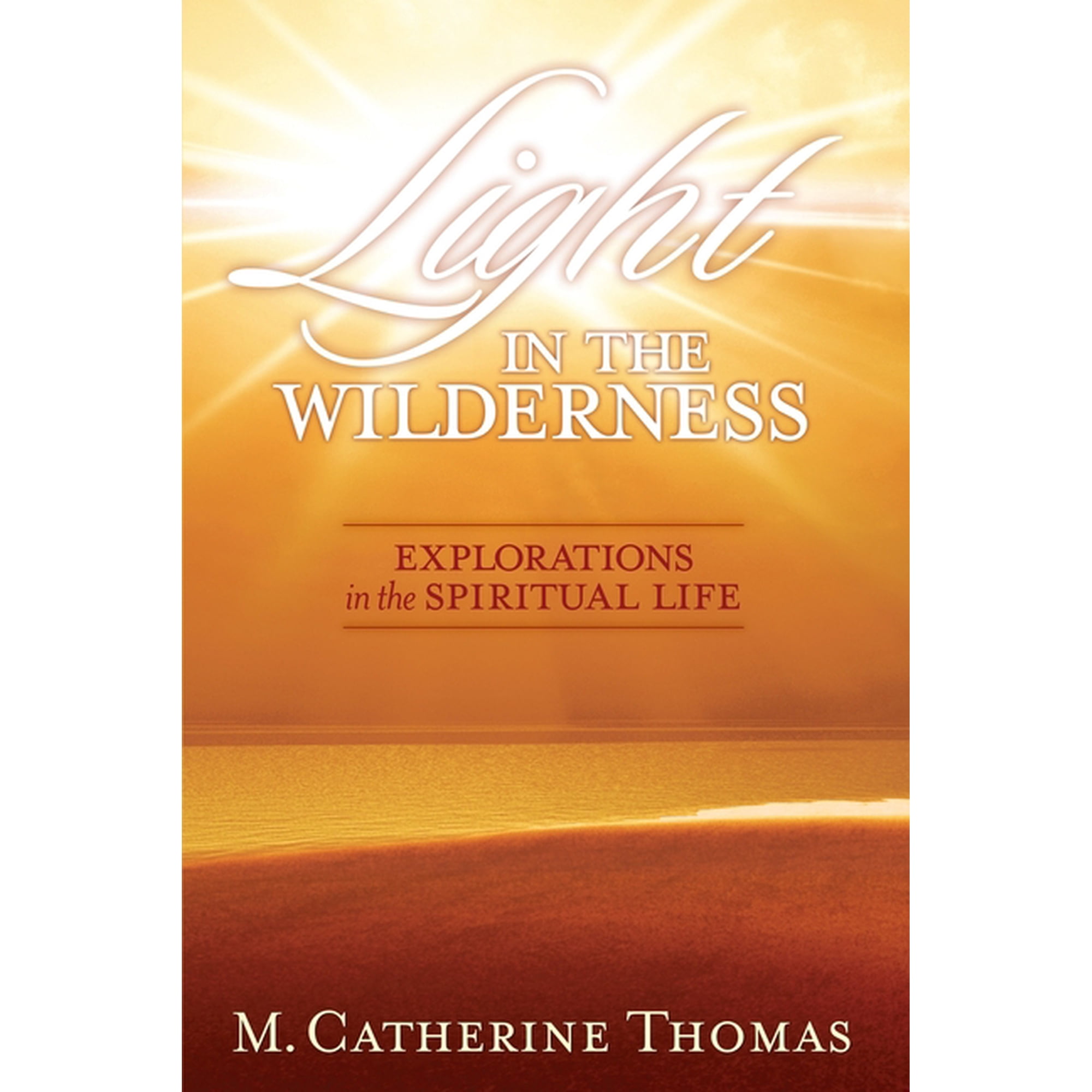 Light in the Wilderness: Explorations in the Spiritual Life (Paperback)