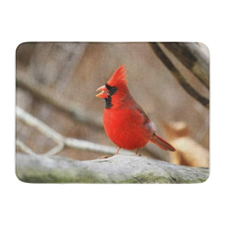 SIDONKU Colorful Winter Male Cardinal Red Bird Cabell Doormat Floor Rug Bath Mat 30x18