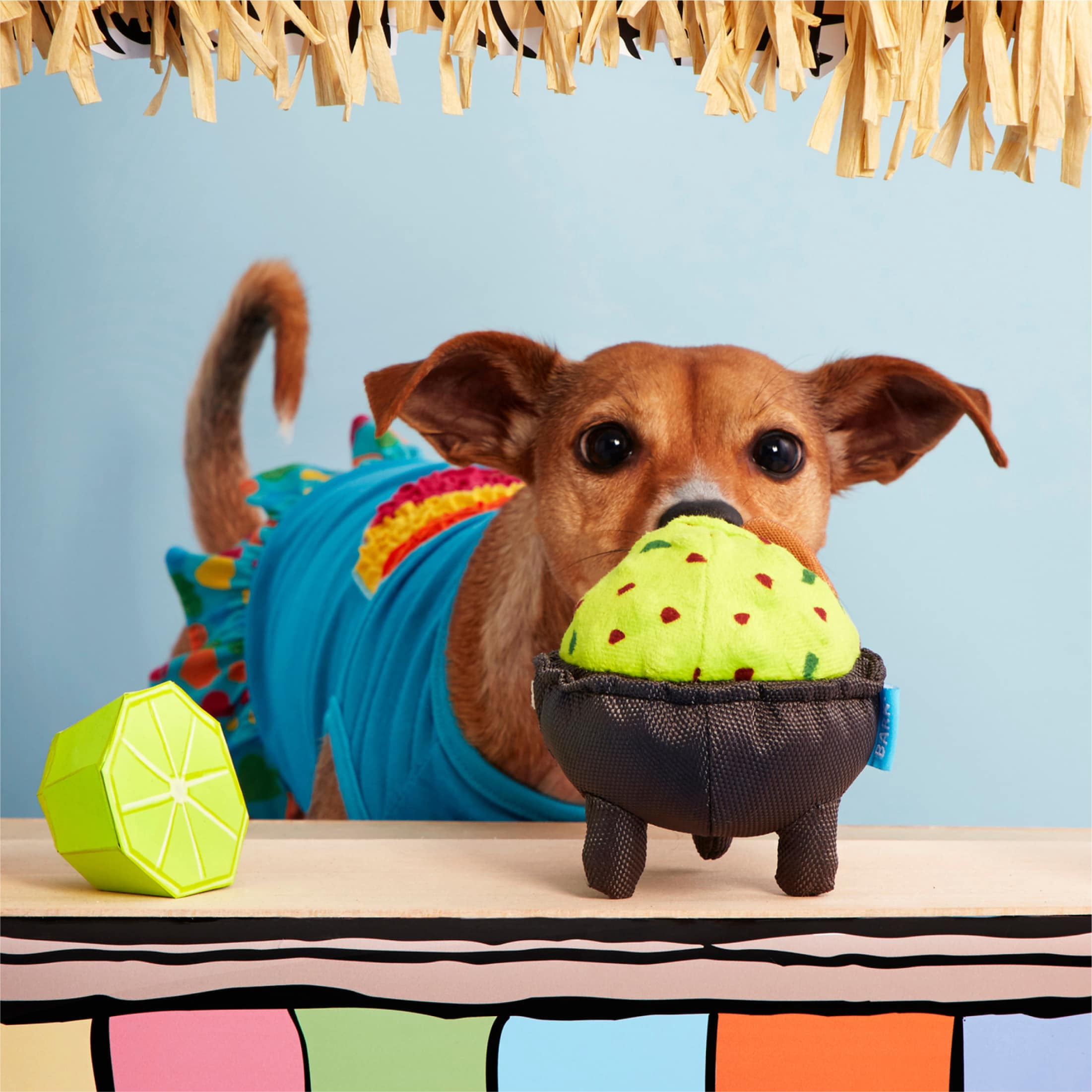 BARK Stop, Guac, and Mole Guacamole Plush Food Dog Toy, Medium