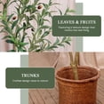 thumbnail image 6 of ROMSWI 7FT Artificial Tree Tall with Pot, Olive Faux Plant with Lifelike Fruits and Natural Wood Trunk for Indoor Home House Office Decor, 6 of 10