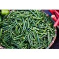 thumbnail image 3 of Clemson Spineless Green Okra/ Annual/ Full Sun/600 Seeds 1 oz / Zellajake Farm and Garden - B51, 3 of 5
