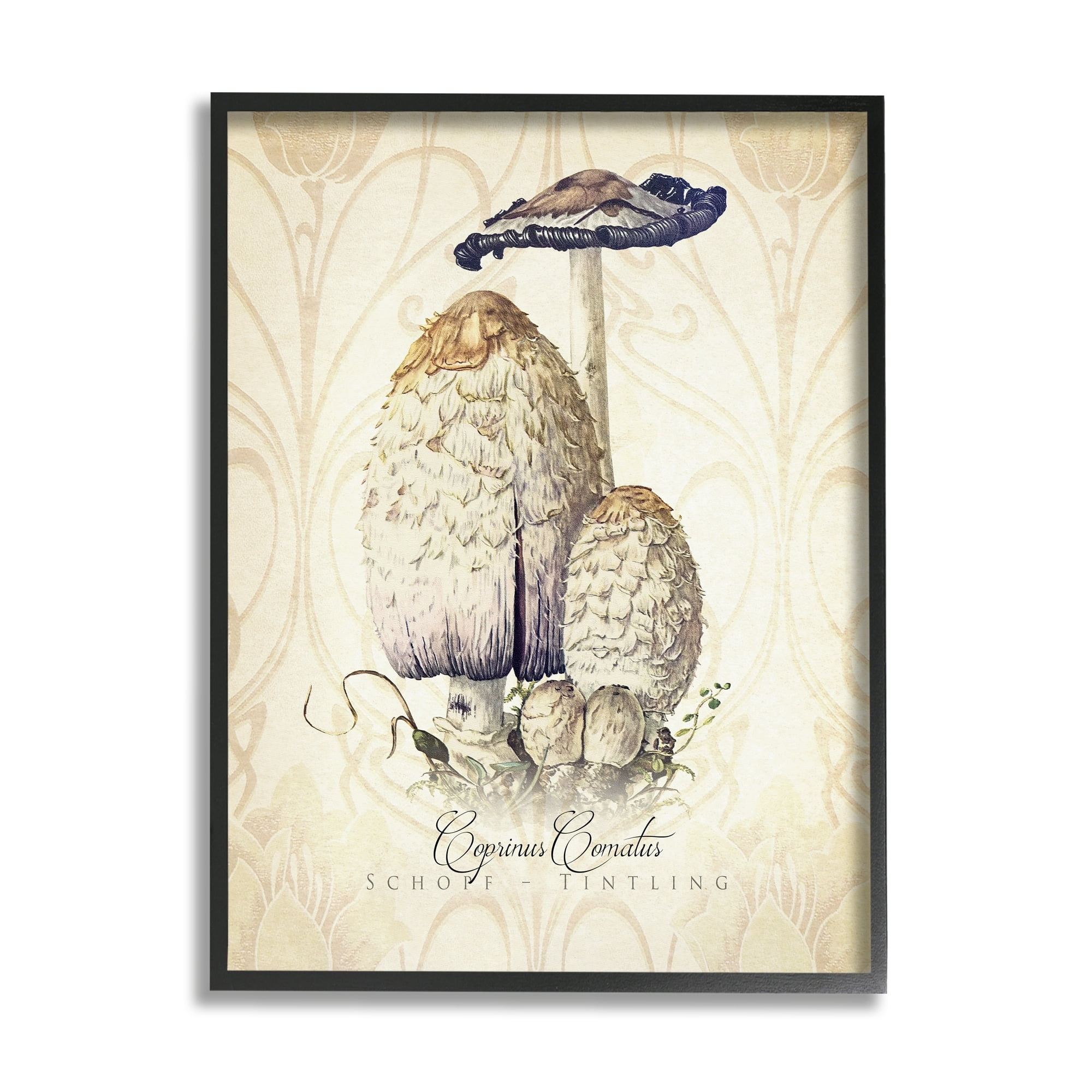 Stupell Industries Vintage Scientific Mushroom Study Botanical & Floral Painting White Framed Art Print Wall Art