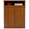 Door Cabinet with Pull-Out Shelf, Cherry