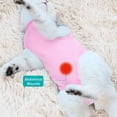 thumbnail image 3 of Gilet de Restauration pour Vêtements de Protection pour Animaux, Combinaison de Récupération Professionnelle, Body pour Chat (Rose, m), 3 of 5