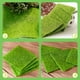 thumbnail image 2 of 2 unids Micro Paisaje Césped Césped Musgo Simulación Turf DIY Ornamento Decoración, 2 of 6