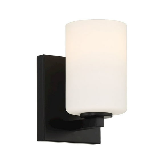 Access Lighting 1 Light LED Wall Sconce & Vanity in Matte Black Color