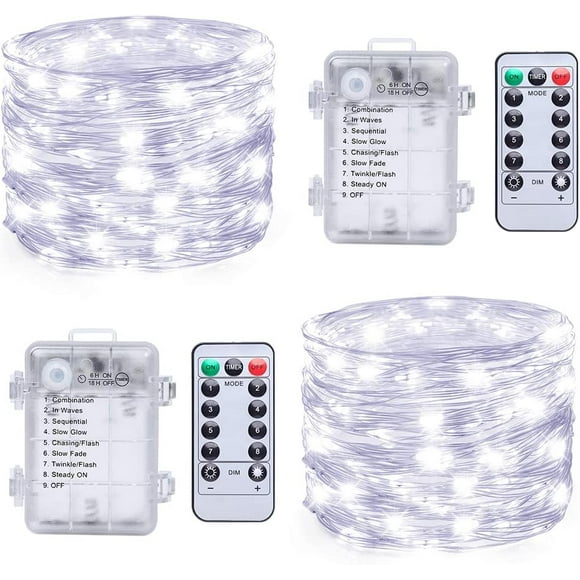 Remote Controlled Christmas Lights