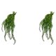 thumbnail image 2 of Wosthever Plantas en conserva plásticas de la falsificación de la atmósfera natural y de invitación con propiedades decorativas fuertes Shell vid BS en maceta 2Conjunto, 2 of 6