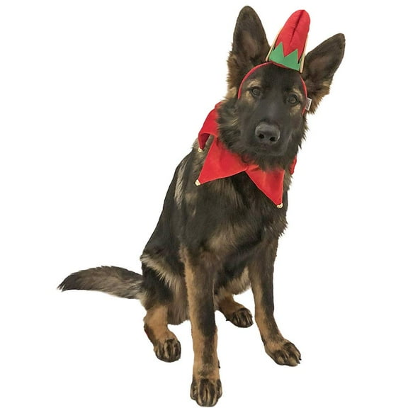Midlee Elf Dog Hat with Bell Neck Band Dog Christmas Costume