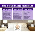 thumbnail image 4 of Nature's MACE 32oz Bed Bug Treatment Spray (2-Pack) | Effective Lice, Flea, and Mite Killer, 4 of 6