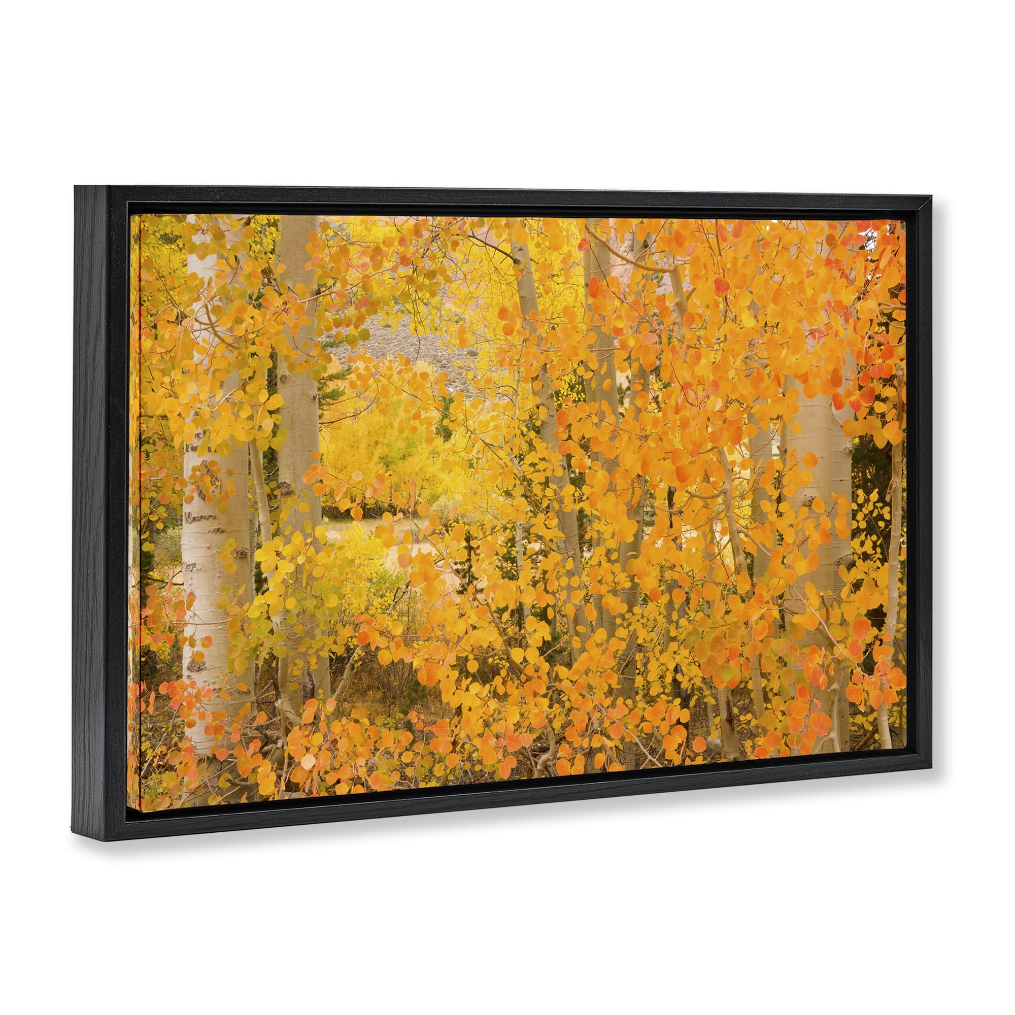 Stupell Industries Dense Birch Foliage Plants & Flowers Photography Black Floater Framed Canvas Art Print Wall Art, 25 x 17