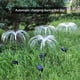 thumbnail image 5 of Teissuly Solar Garden Lights Solar Fiber Optic Lights Decorations 7 Color Changing Solar Lights for Garden Terrace Lawn Landscape Teissuly WER202310230559, 5 of 5
