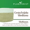 thumbnail image 2 of Planterist Cesta Organizadora Mediana Tejida – Algodón Lavable, Plegable y Portable – Multiusos 30x18.5 cm para Almacenaje, Decoración y Ropa Sucia (Tulum), 2 of 9