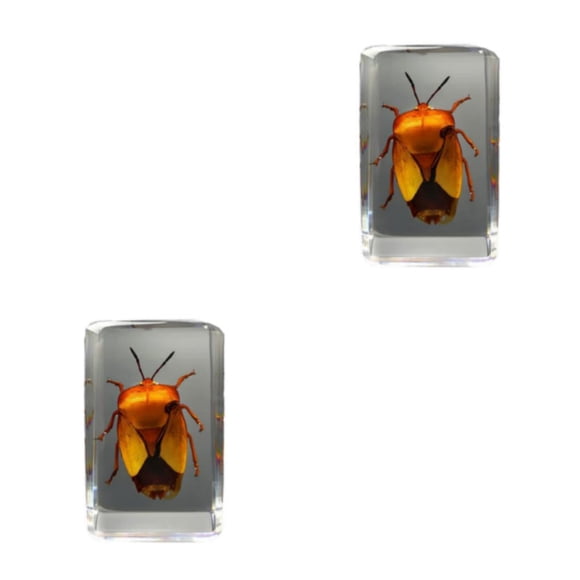 Cateissary Espécimen de insecto real resistente y duradero con espécimen de escarabajo avispa araña escorpión transparente Type8 NO8