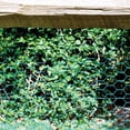 thumbnail image 4 of 24in H x 25ft L Vinyl Coated Chicken Wire with 1in Mesh, 4 of 5