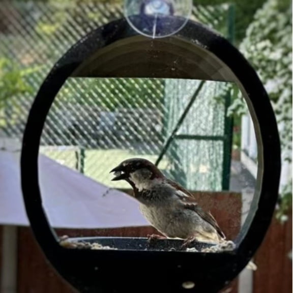 Window Bird Feeder For Outdoor Use, 1-Pack Hanging Bird Feeding Station With Hook, Round Design For Easy Bird Watching & Attracting Wild Birds, Ideal For Garden Balcony Decoration