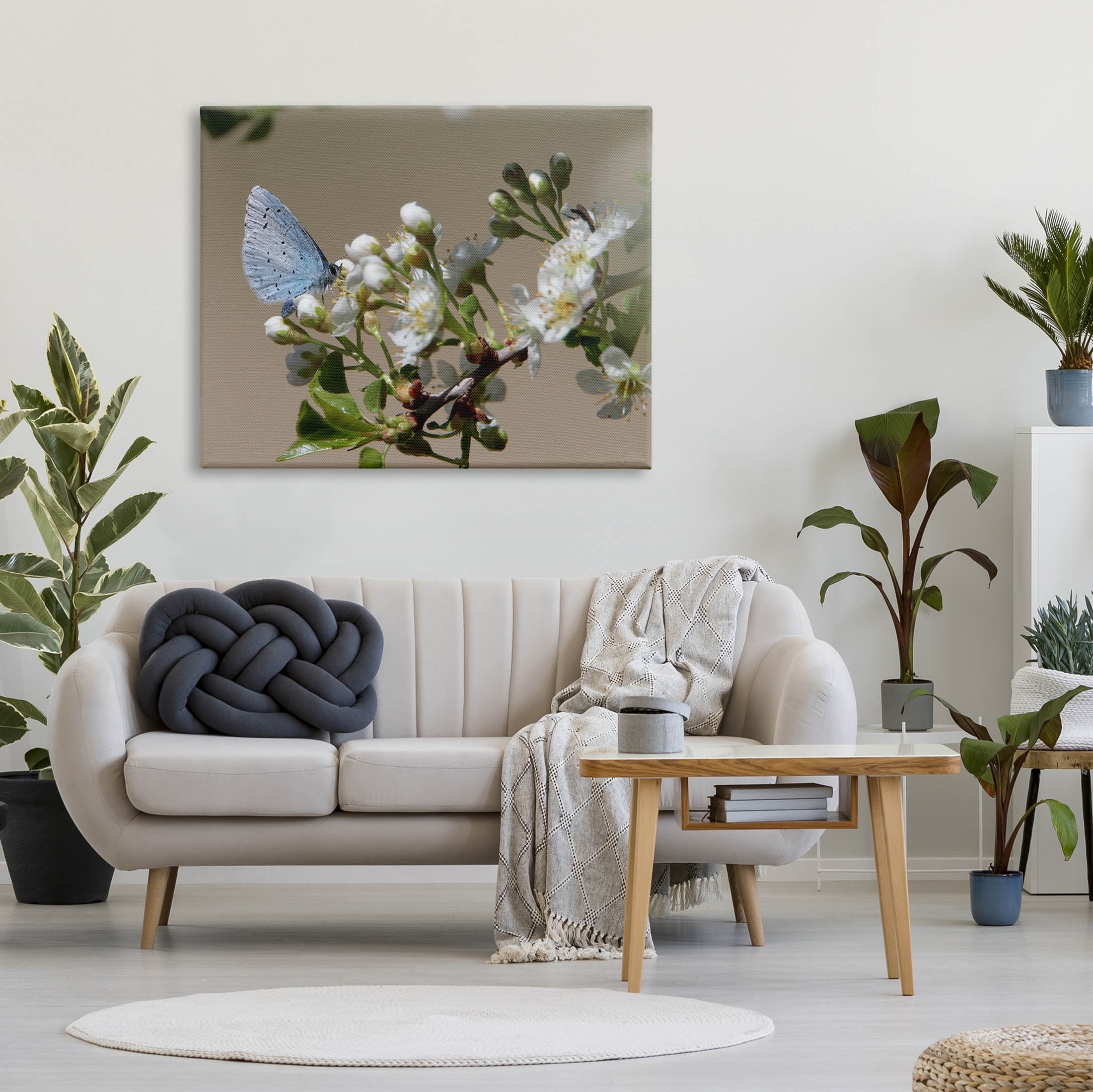 Stupell Industries Butterfly Perched Budding Flower Photograph Gallery Wrapped Canvas Print Wall Art, Design by Daphne Polselli
