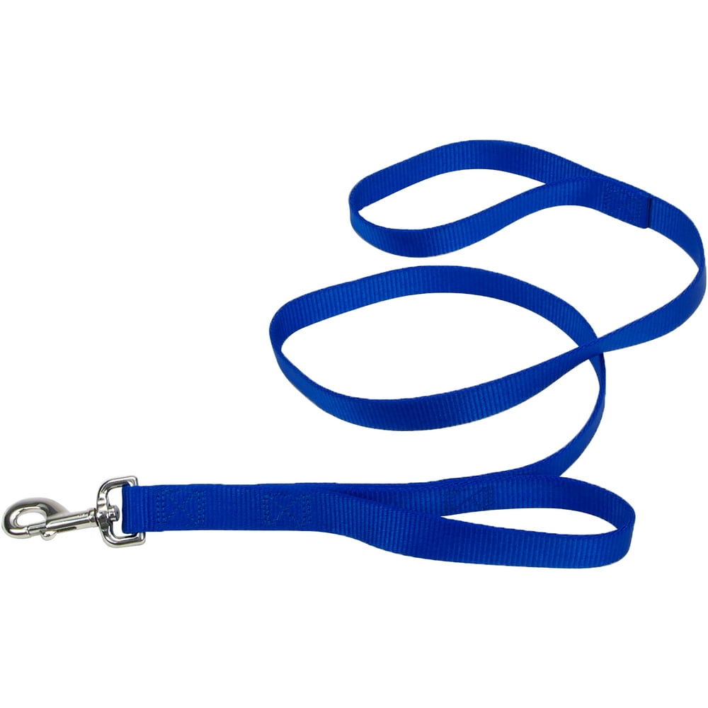 Loops 2 Double Handle 1" Nylon Dog Leash 6'Blue
