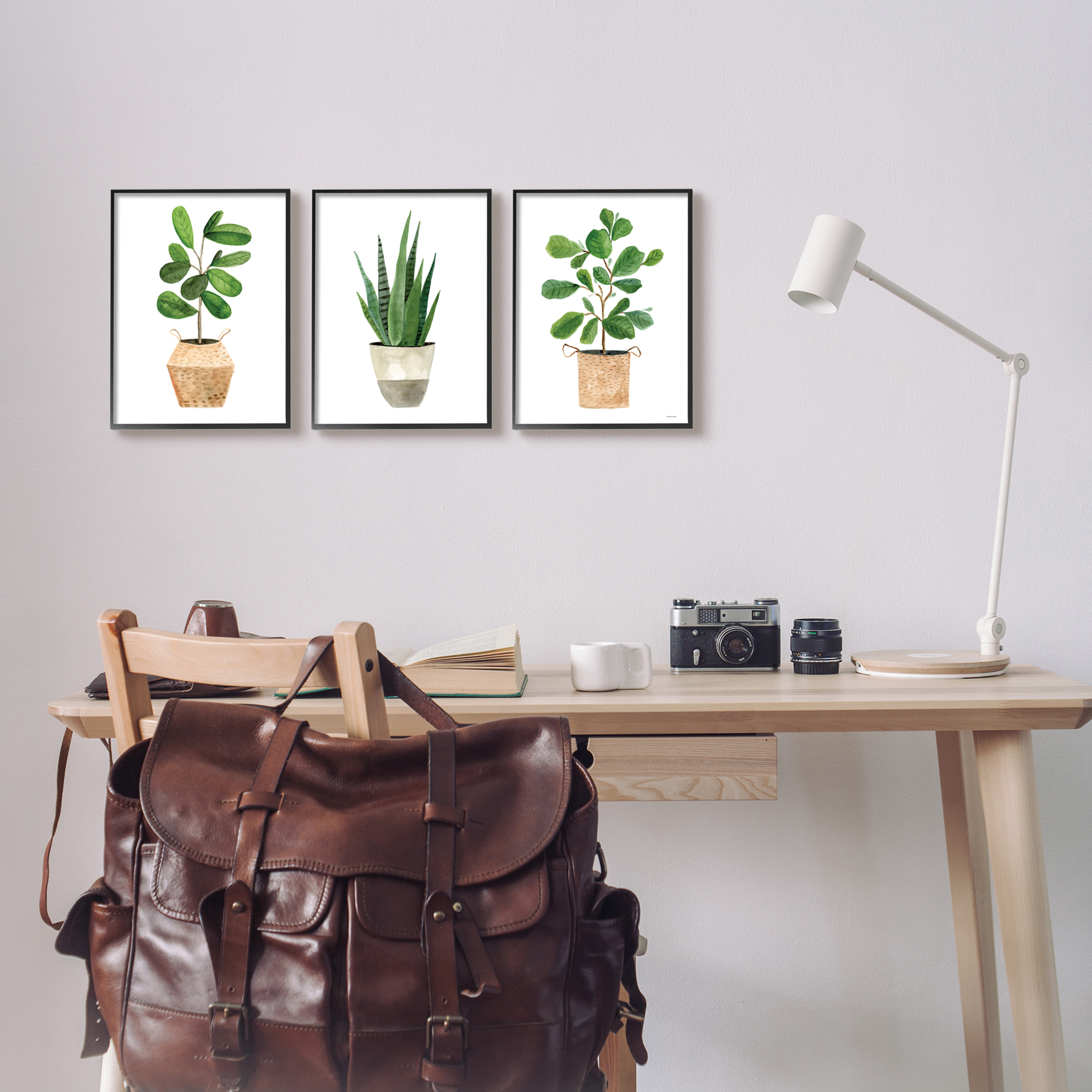 Stupell Minimal Potted Plants Botanicals Botanical & Floral Painting Black Framed Art Print Wall Art, Set of 3