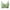 Green, variant on Dealovy Plus Size Womens Wireless Bra Full Coverage Seamless Push up Bras Lace Lined Comfy Everyday Bras