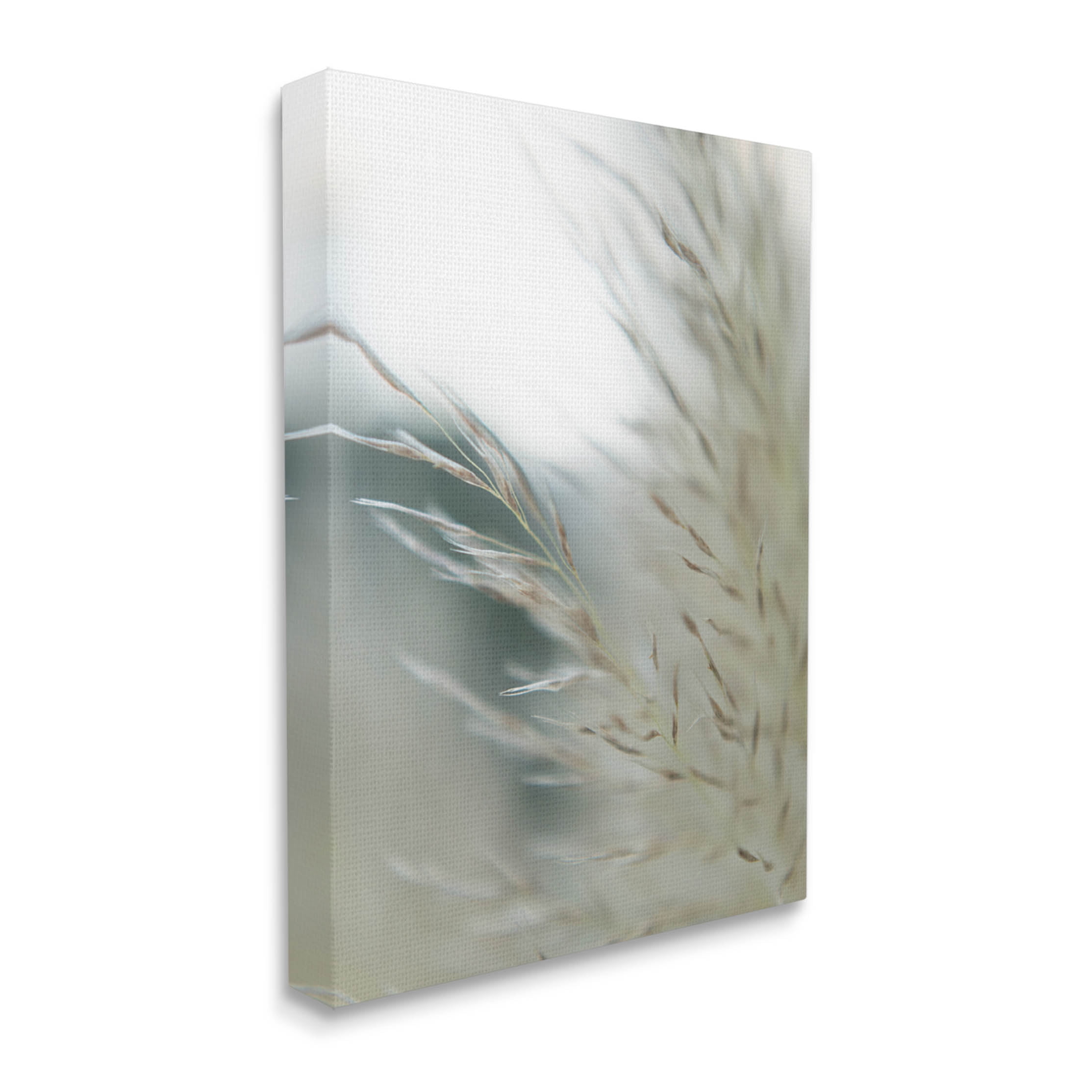 Stupell Industries Tranquil Wheat Pampas Grass Photography Photograph Gallery Wrapped Canvas Print Wall Art, Design by Jason Johnson