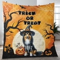 thumbnail image 4 of Trick or Treat Shetland Sheepdog Needs Candy Happy Halloween Night Quilt Blanket Sheltie Dog Lover Gifts Cozy Comforter Throw Blanket - 02020, 4 of 5