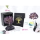 thumbnail image 3 of Amatista Árbol de cristal curativo Cristales de Reiki naturales Piedra preciosa Base Alambre de cobre Árbol Vida Dinero Árboles Feng Shui Reiki Árbol de energía espiritual para H, 3 of 5