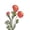 Watermelon Red, variant on 1PC Single Stem Artificial Flower,Realistic Flocked Lotus Peony Faux Flower,Fade Resistant for Indoor Outdoor Decor,Perfect for Home Wedding Party Shop Display
