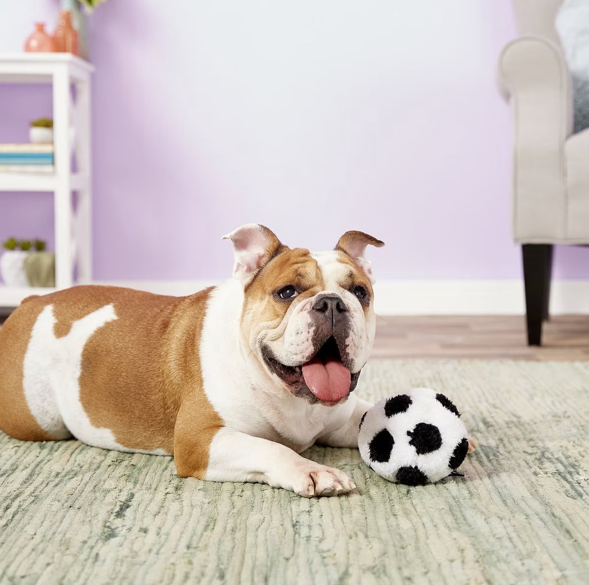 Dog Toys Soft Plush Soccer Ball Squeaker Black and White Sports Fetch Play 4.5" (2 Soccer Balls)