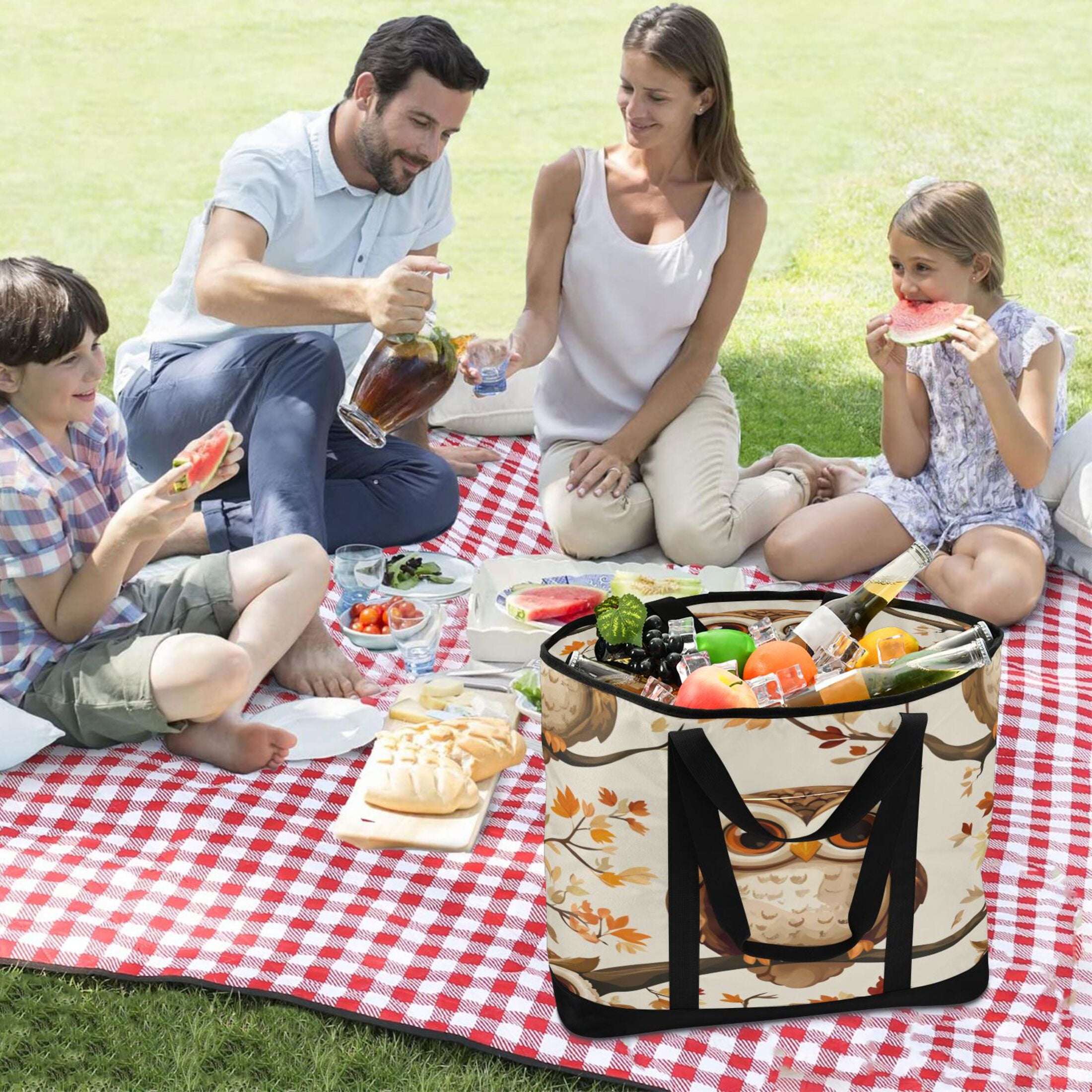 Large Hand-held Ice Pack Picnic Bag Insulation and Refrigeration Suitable for Shopping Picnics and Camping Big-eyed Owl