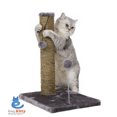 thumbnail image 1 of ABC Pet 3008001 Griffoir d'Herbe de Mer de 20 Po avec Jouet de Printemps, Brun, 1 of 2