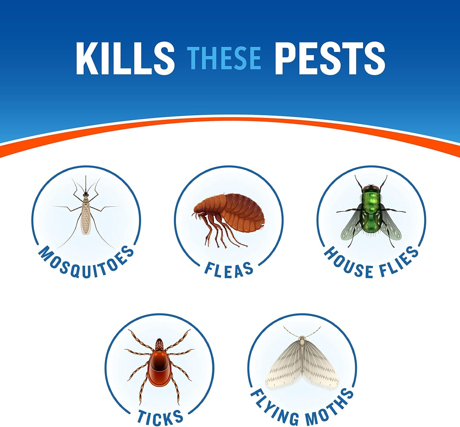 Backyard Bug Control Spray Concentrate (2 Pack), Kills Mosquitoes, Fleas & Listed Ants, 32 fl Ounce