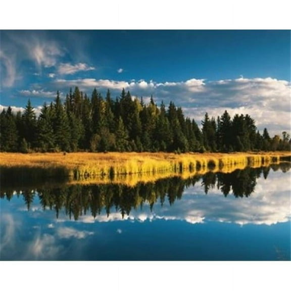 Trees Reflecting in Snake River Grand Teton National Park Wyoming Poster Print by Adam Jones - 34 x 27 in.
