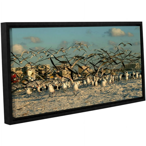 ArtWall Lindsey Janich "Crazy Birds" Gallery-Wrapped Floater-Framed Canvas