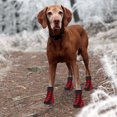 thumbnail image 5 of 4pcs mascotas antideslizante calcetines Navidad con temas de medias para mascotas perros caliente calzado Calcetines, 5 of 5