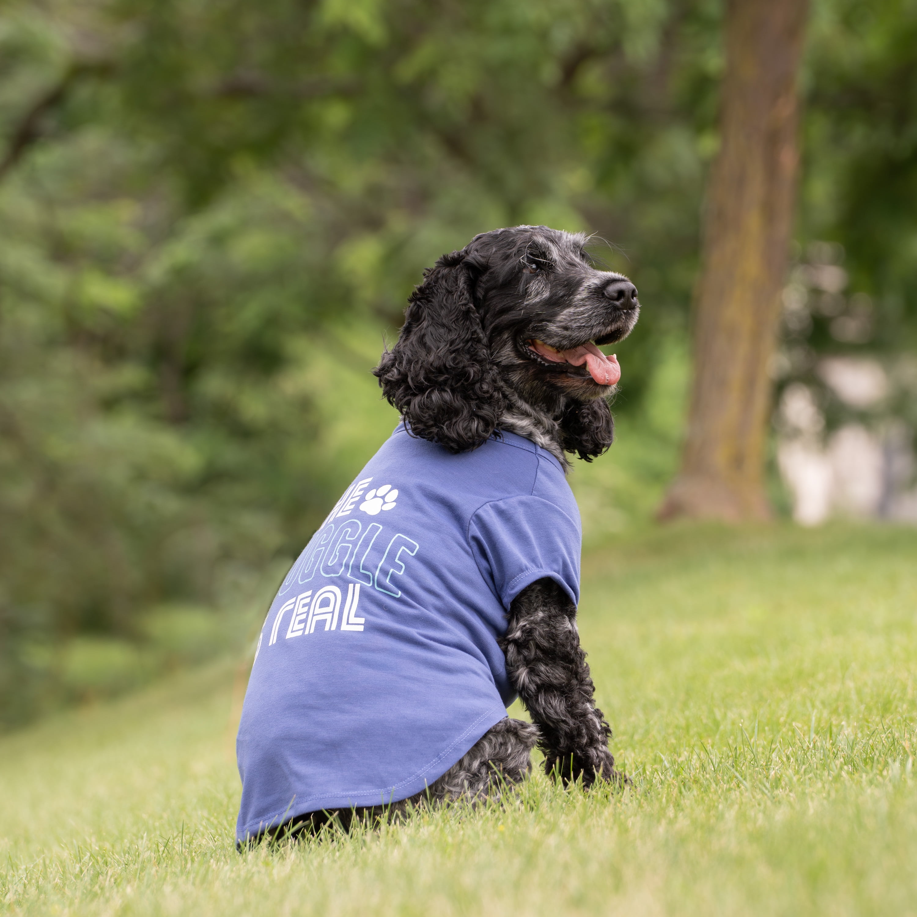 Vibrant Life The Snuggle Is Real Dog T-Shirt, Blue, Medium