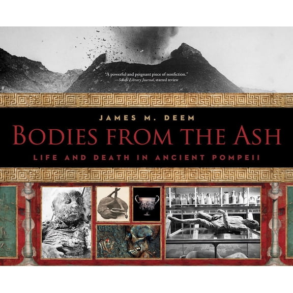 Bodies from the Ash : Life and Death in Ancient Pompeii (Paperback)