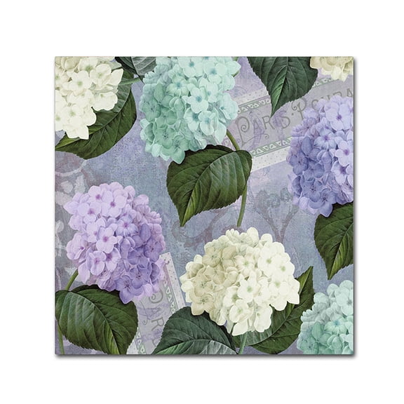 Trademark Fine Art "Hortensia Lavenders" Canvas Art by Color Bakery