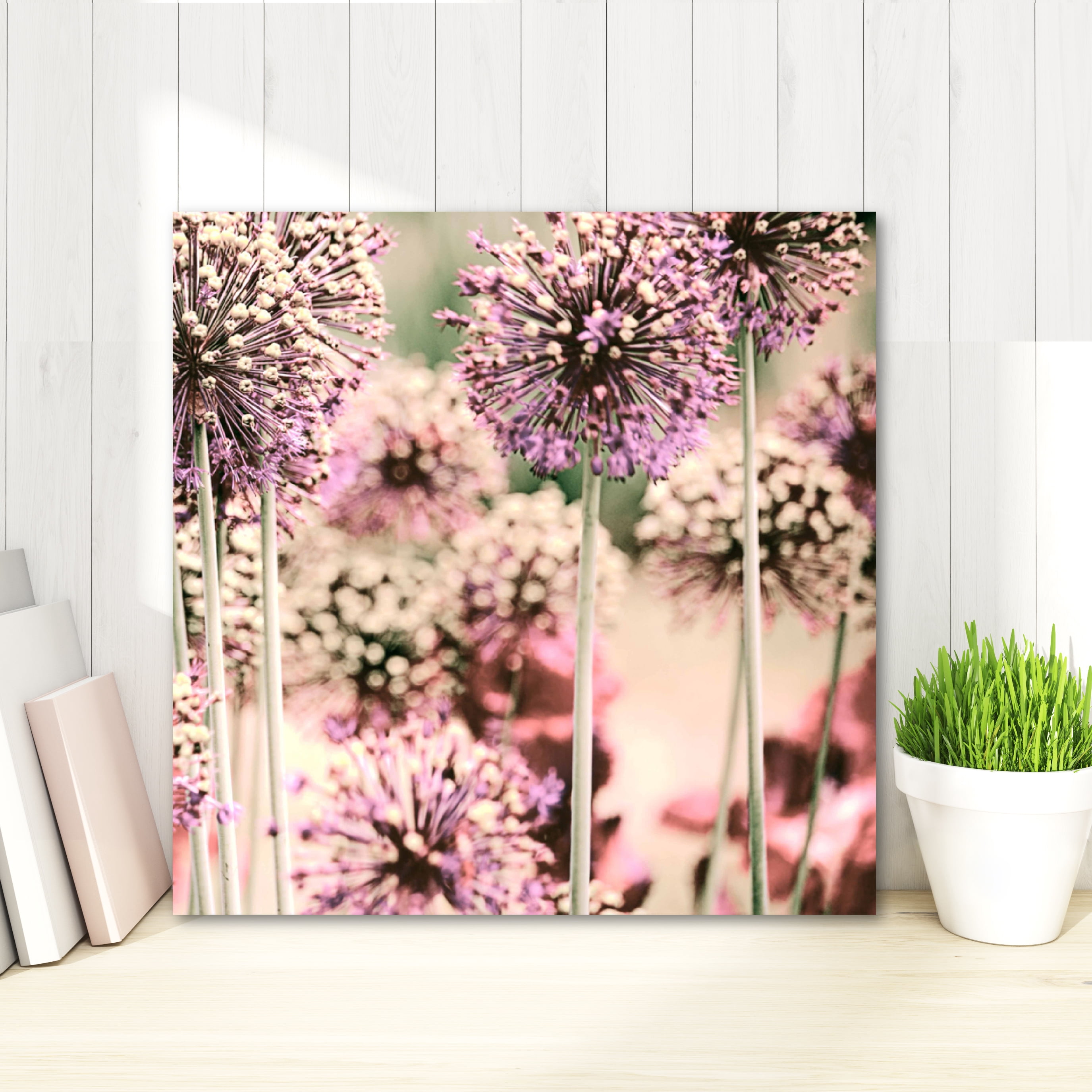 Giant Pink Allium I Gallery-Wrapped Canvas Wall Art, 16x16